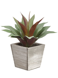10" Agave Plant in Wood Planter Green (pack of 6)