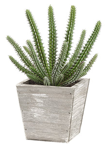 9.5" Soft PVC Cactus in Wood Planter Green (pack of 6)
