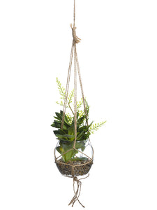7.5" Hanging Succulent Garden in Glass Vase Green (pack of 6)