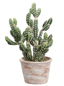 13" Cactus in Paper Mache Pot  Green (pack of 4)