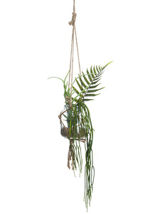 12" Hanging Succulent Garden in Glass Vase Green (pack of 6)