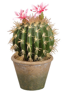 10.5" Flowering Barrel Cactus in Paper Mache Pot Green Pink (pack of 6)