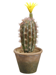 11.75" Flowering Barrel Cactus in Paper Mache Pot Green Yellow (pack of 12)