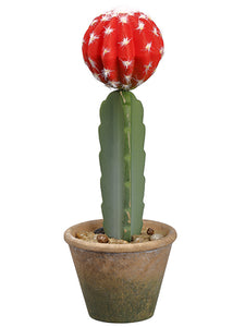13.25" Barrel Cactus in Paper Mache Pot Red Green (pack of 6)