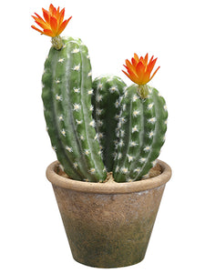 12.5" Flowering Column Cactus in Paper Mache Pot Green Orange (pack of 6)