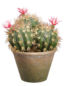 11.25" Flowering Barrel Cactus in Paper Mache Pot Green Pink (pack of 6)