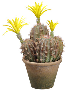 14.5" Flowering Column Cactus in Paper Mache Pot Green Yellow (pack of 4)