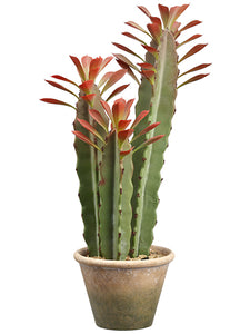 22" Column Cactus in Paper Mache Pot Green Burgundy (pack of 2)