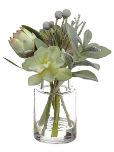 10" Echeveria/Protea/Brunia in Glass Vase Green Gray (pack of 2)