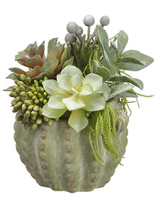 10.5" Echeveria/Sedum/Brunia in Cement Cactus Planter Green Gray (pack of 1)
