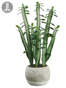 20" Cactus in Terra Cotta Pot  Green (pack of 4)