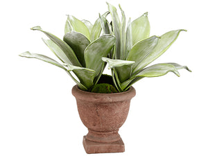 18" Agave in Cement Urn  Green (pack of 2)