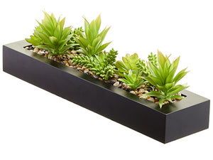 7"Hx5"Wx20.5"L Succulent Garden in Plastic Planter Two Tone Green (pack of 4)