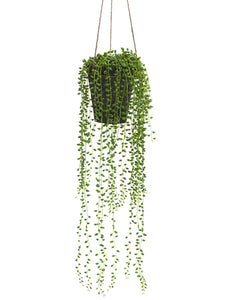 29" Hanging String of Pearls in Clay Pot Green (pack of 4)