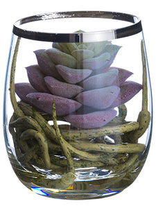 3.75" Sedum/Roots in Glass Vase Green Burgundy (pack of 6)