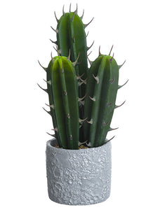 13.5" Soft Cactus In Paper Mache Pot Green (pack of 2)
