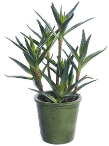 16" Agave Plant in Paper Mache Pot Green (pack of 1)