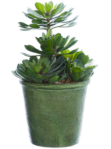 11.5" Echeveria Plant in Paper Mache Pot Green (pack of 2)