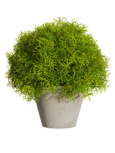 10" Soft PE Sprengeri Ball Topiary in Paper Mache Pot Green (pack of 2)