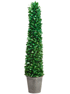 39" Tea Leaf Cone Topiary in Tin Pot Green (pack of 2)