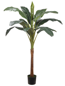 72" Banana Tree With 13 Leaves in Pot Green (pack of 2)