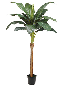 84" Banana Tree With 14 Leaves in Pot Green (pack of 2)