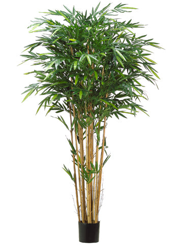 7' Tropical Bamboo Tree with 1984 Leaves in Pot Green (pack of 2)