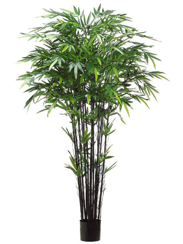 7' Tropical Black Bamboo Tree with 1984 Leaves in Pot Green (pack of 2)