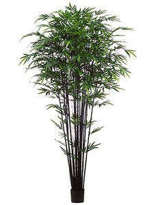 9' Tropical Black Bamboo Tree w/2752 Leaves in Pot Green (pack of 2)
