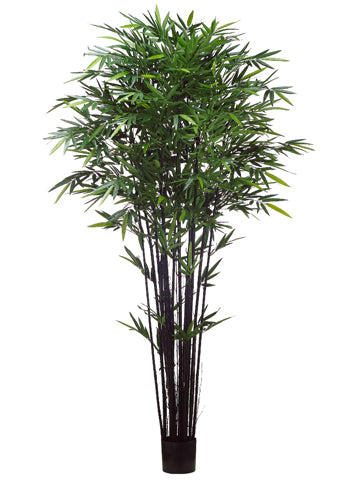 8' Tropical Black Bamboo Tree w/2240 Leaves in Pot Green (pack of 2)