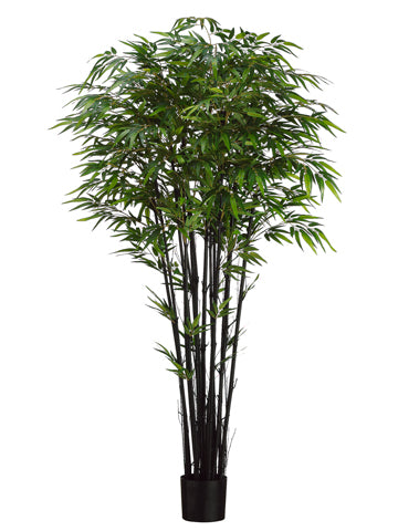 6' Natural Black Bamboo Tree x15 w/2240 Leaves in Pot Two Tone Green (pack of 2)