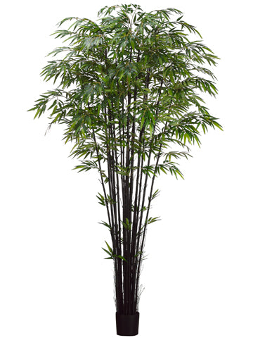 8' Natural Black Bamboo Tree x17 with 3040 Leaves in Pot Two Tone Green (pack of 2)