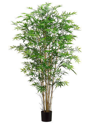 6' Bamboo Tree w/550 Leaves in Pot Green (pack of 2)