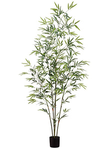 5' Bamboo Tree x4 in Pot With 819 Leaves Green (pack of 4)