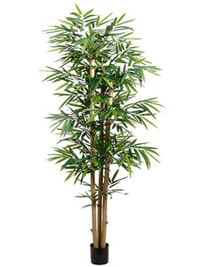 7' Bamboo Tree With 980 Leaves in Plastic Nursery Pot Green (pack of 2)