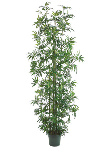 8' Bamboo Tree x11 w/1746 Leaves in Pot Green (pack of 2)