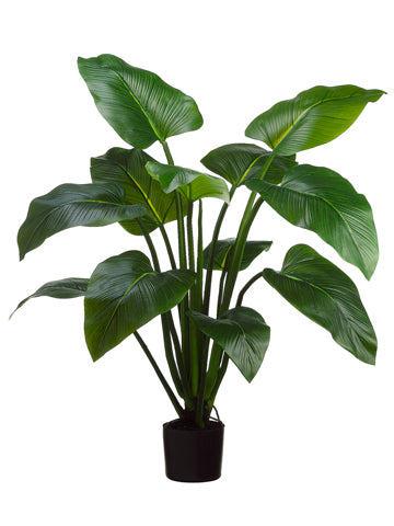 4' EVA Curcuma Plant with 12 Leaves in Plastic Pot Green (pack of 2)