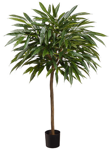 3' Long Ficus Topiary Tree in Pot Green (pack of 2)