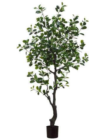 6' EVA Ficus Tree with 989 Leaves in Plastic Pot Green (pack of 2)