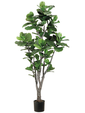 6' Fiddle Leaf Tree with 144 Leaves and PU Trunk in Plastic Pot Green (pack of 2)