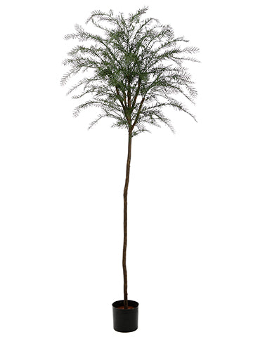 7.5' Plastic Taxus Thayerae Tree with 340 Leaves Green (pack of 2)
