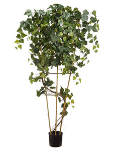 7' Giant Ivy Tree With 480 Leaves in Plastic Nursert Pot Green (pack of 2)