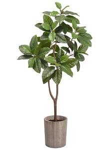 47.2" Michelia Alba Tree in Wood Planter Green (pack of 2)