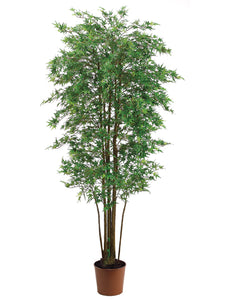 6' Mini Japanese Maple Tree with 2928 Leaves in Pot Green (pack of 2)