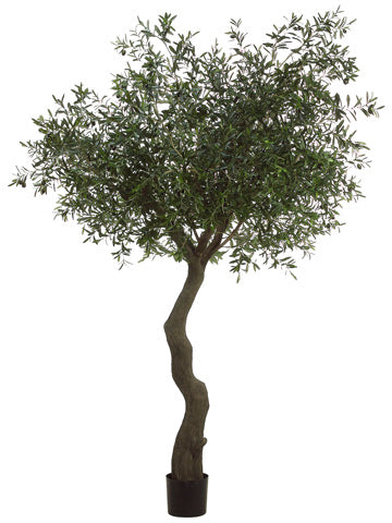 7' Olive Tree with 10064 Leaves and 180 Olives in Plastic Pot Green Black (pack of 1)