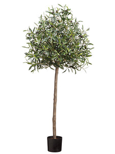 4' Olive Tree in Pot With 1560 Leaves And 42 Fruits Two Tone Green (pack of 2)