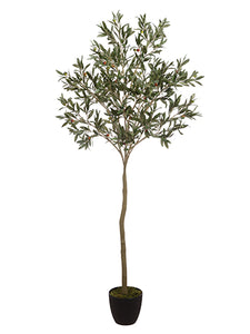 64" Olive Tree in Pot  Green (pack of 2)