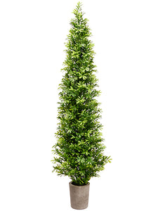 35" Podocarpus Topiary Tree in Cement Pot Green (pack of 1)
