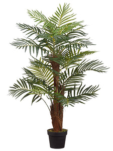 46" Areca Palm With 22 Leaves in Pot Green (pack of 2)