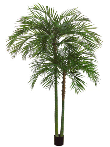 7' Areca Palm Tree x2 with 1692 Leaves in Pot Green (pack of 1)